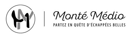 logo montemedio